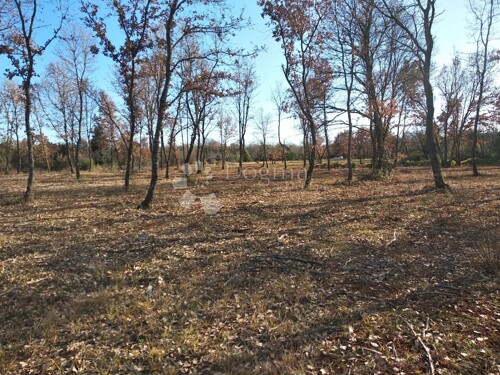 Thumbnail 4841714 - 5