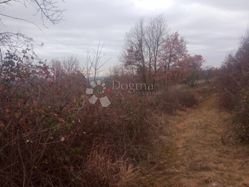 Thumbnail 4841884 - 3