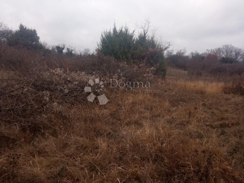 Thumbnail 4841884 - 1