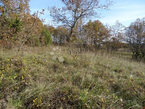 Thumbnail 4842148 - 2