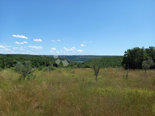 Thumbnail 4842655 - 14