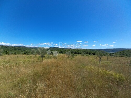 Thumbnail 4842655 - 3