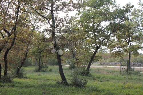 Thumbnail 4843603 - 3