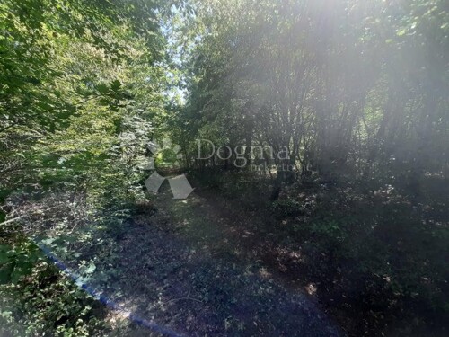 Thumbnail 4843806 - 2