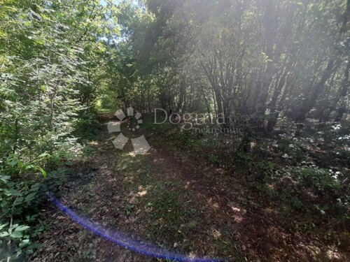 Thumbnail 4843806 - 8