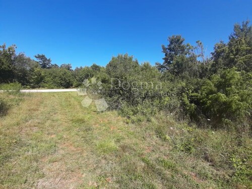 Thumbnail 4843806 - 5