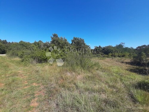 Thumbnail 4843806 - 6