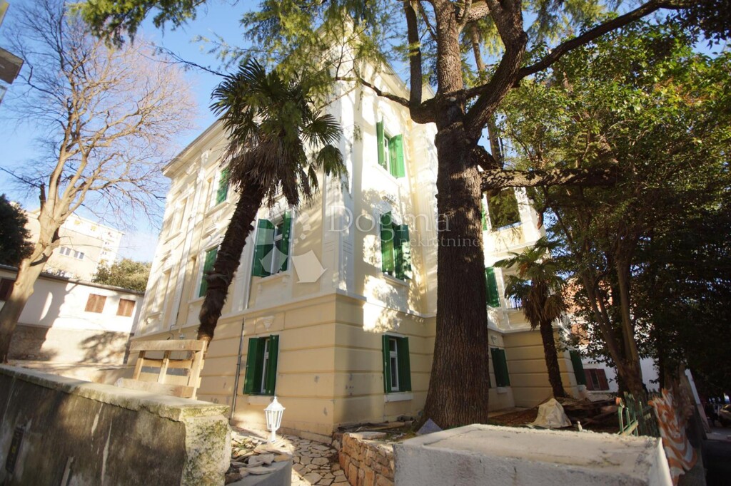 Image 4843848 - 11