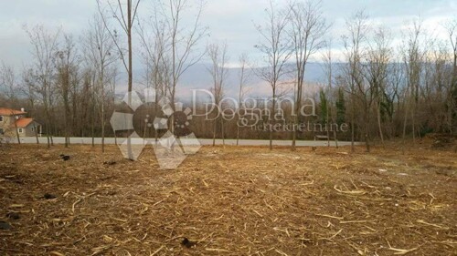 Thumbnail 4844284 - 4