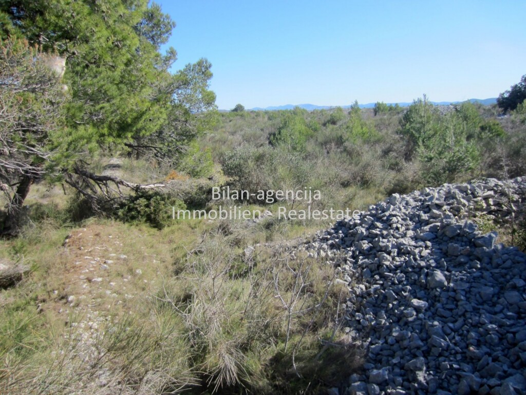 Image 4857301 - 4