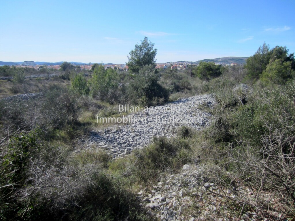 Image 4857301 - 7