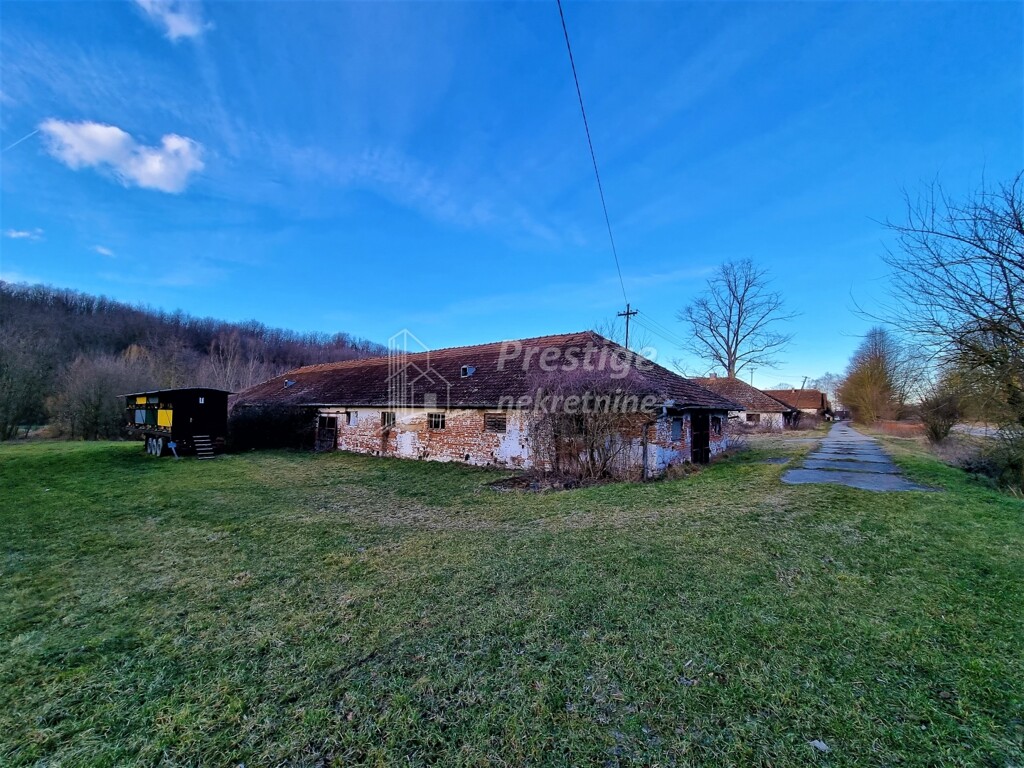 Image 4863998 - 14