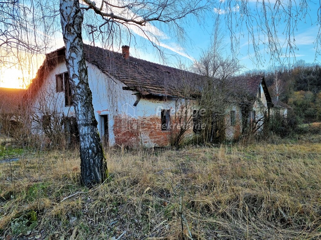 Image 4863998 - 4