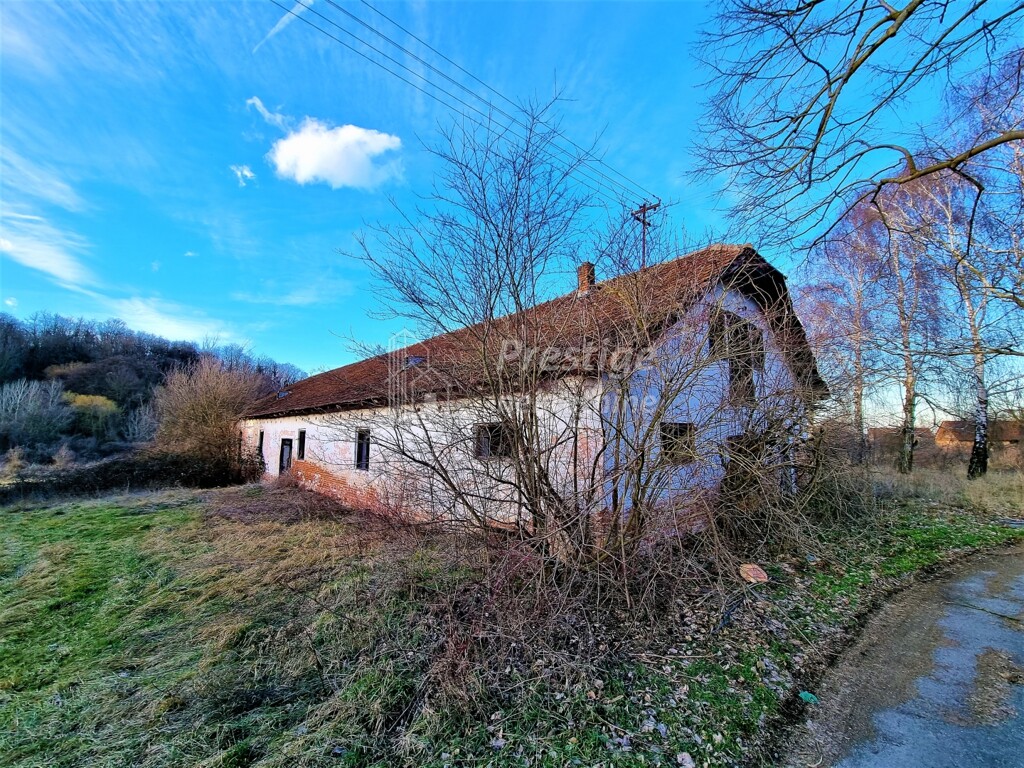 Image 4863998 - 2