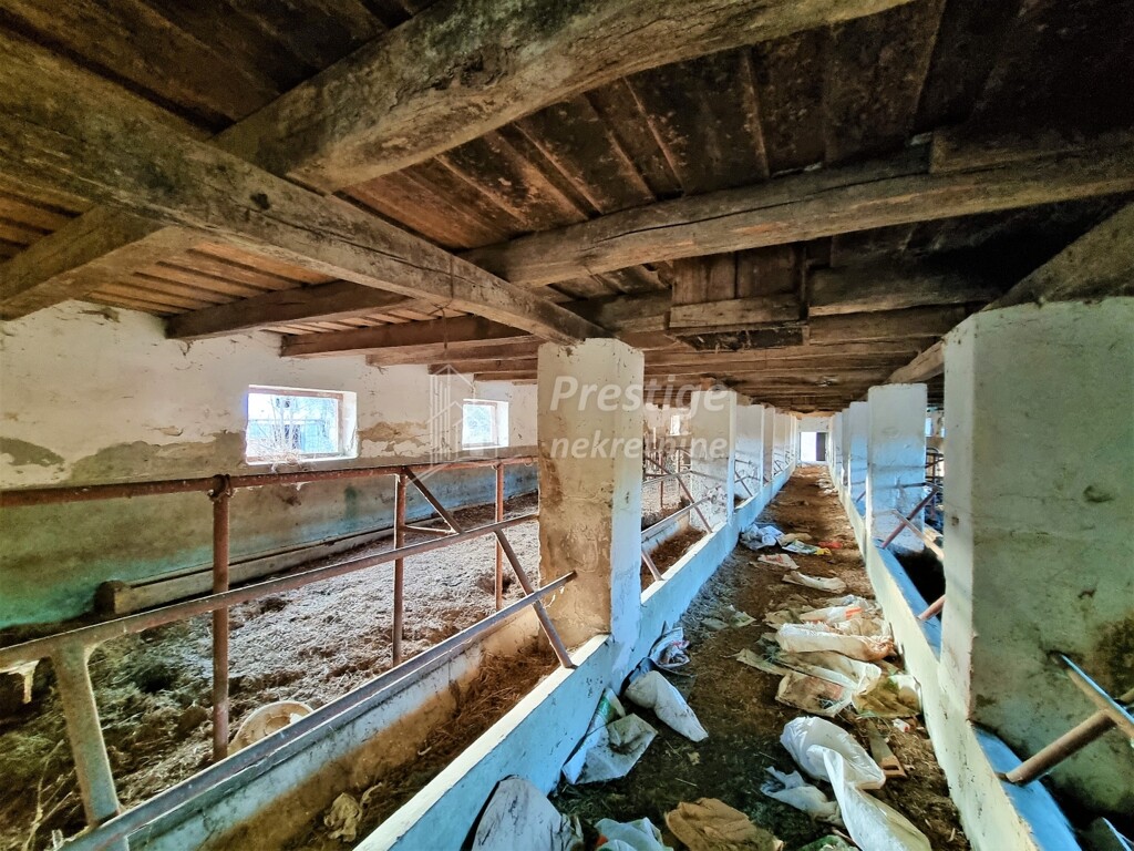Image 4863998 - 8