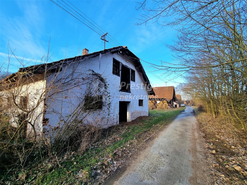 Image 4863998 - 6