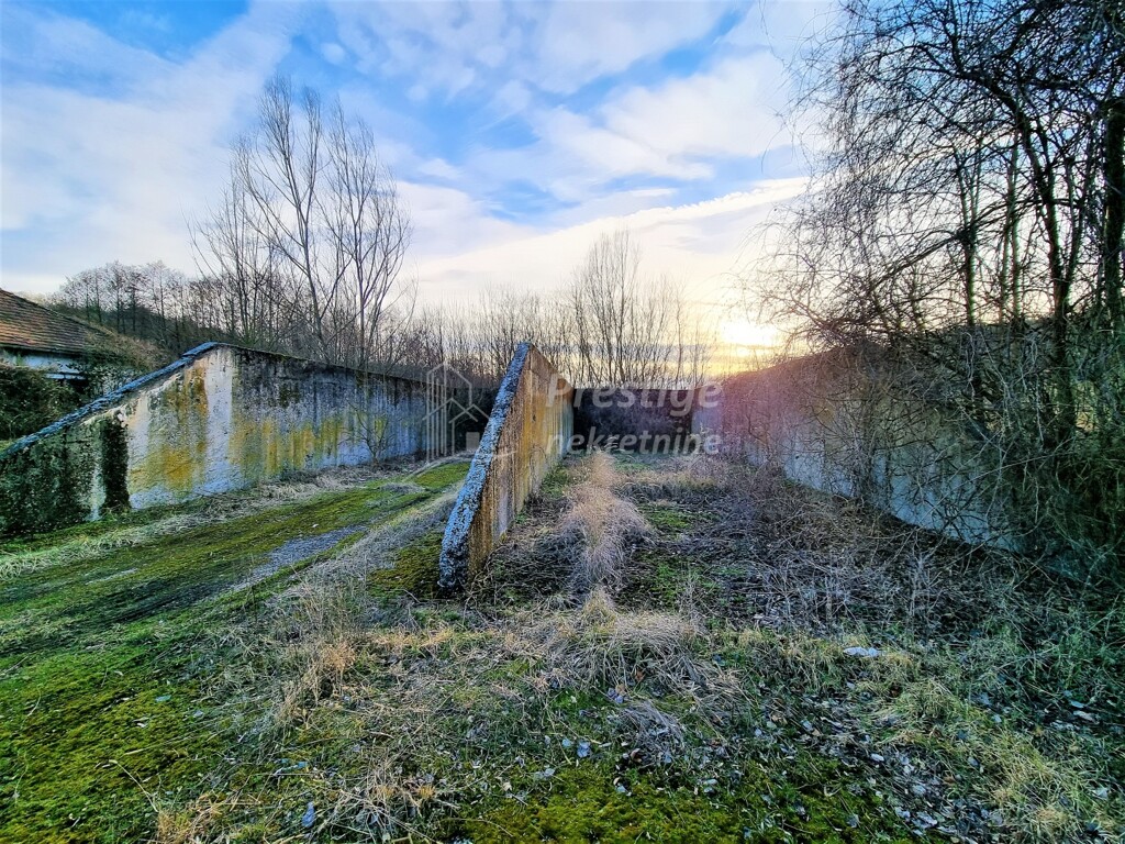 Image 4863998 - 11