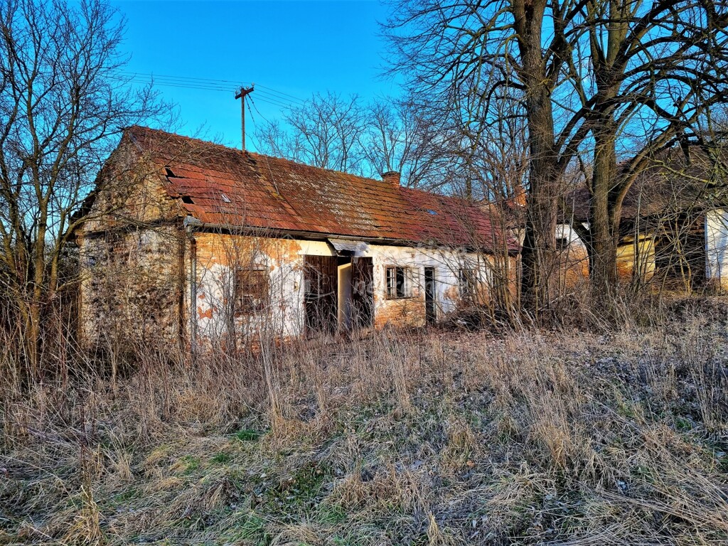 Image 4863998 - 24