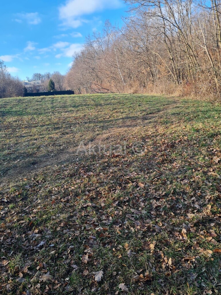 Image 4865140 - 3