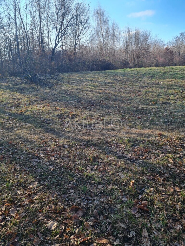 Image 4865140 - 2