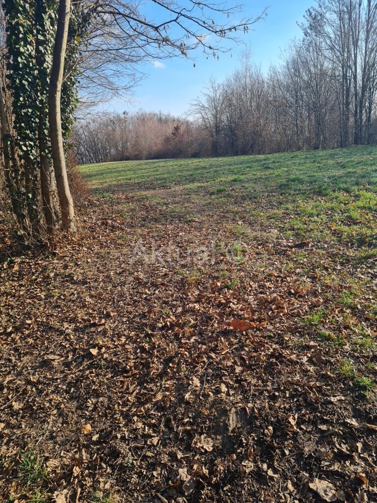 Image 4865140 - 1