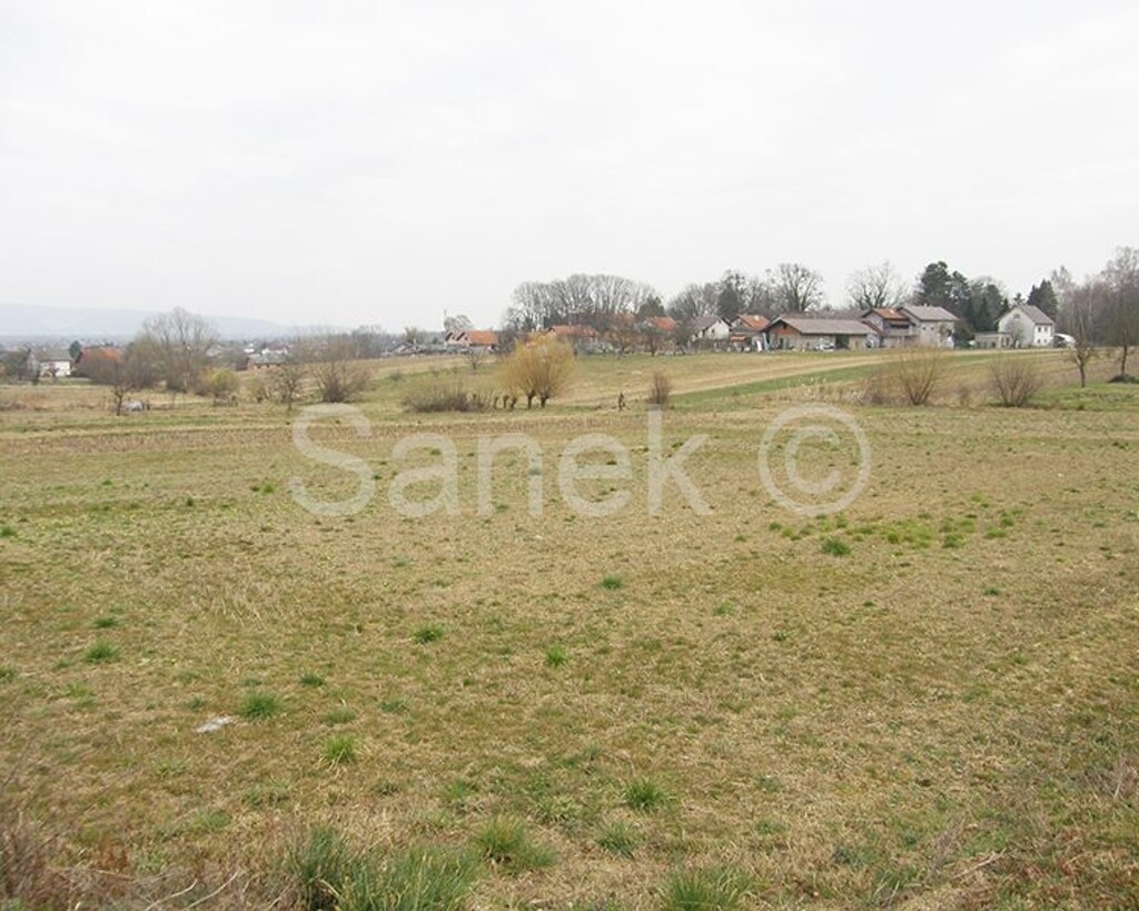 Image 4866171 - 4