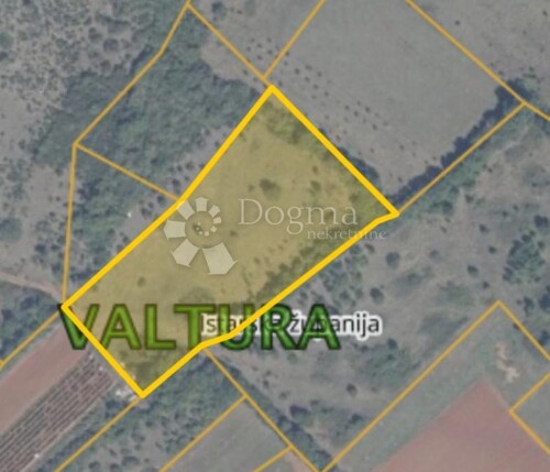 Thumbnail 4867686 - 1