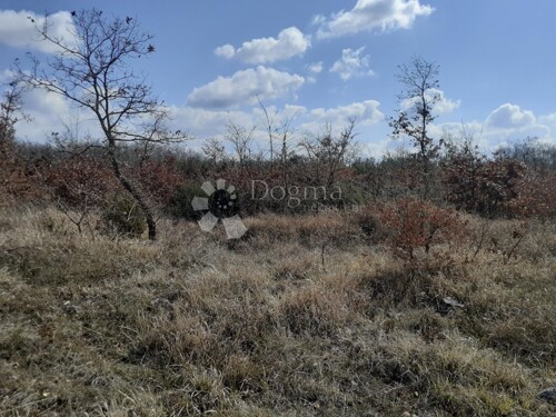 Thumbnail 4878283 - 5