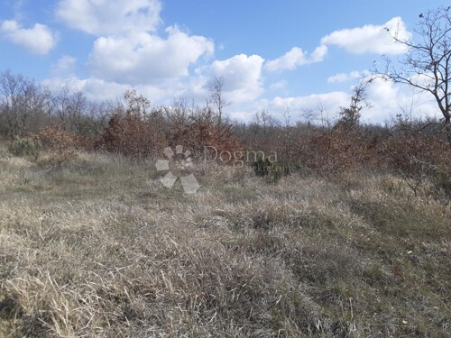 Thumbnail 4878283 - 4