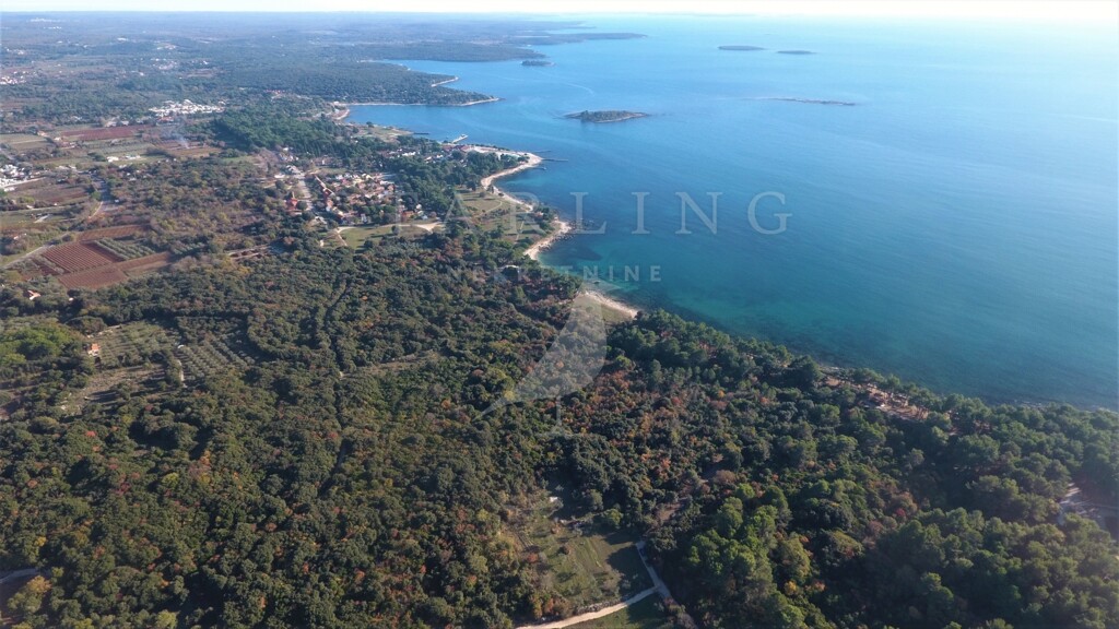 Image 4878306 - 1