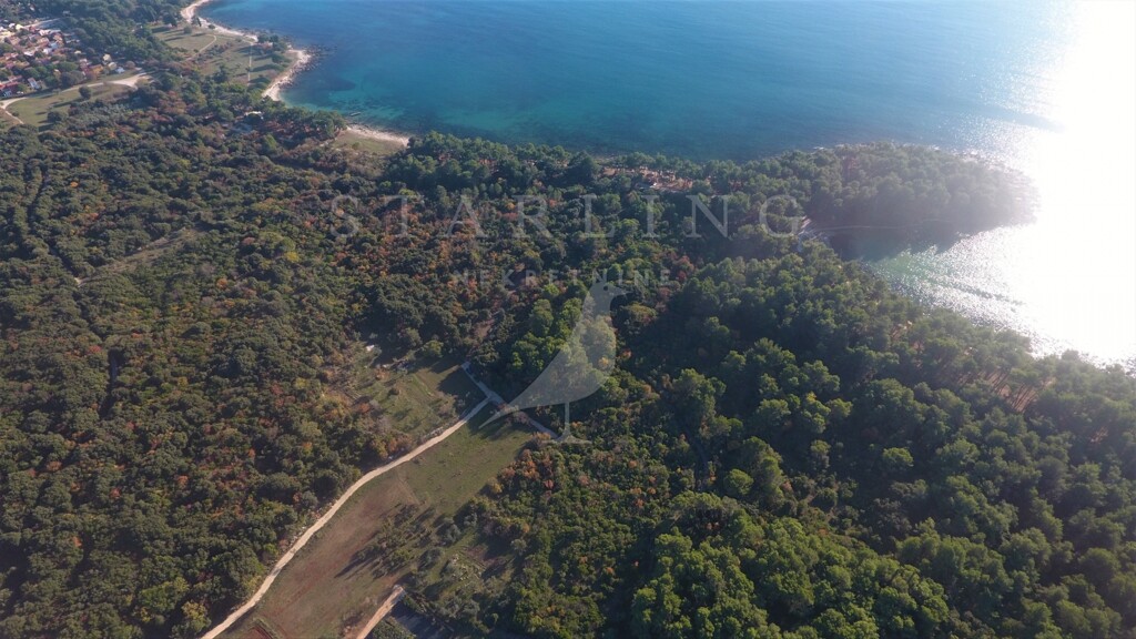 Image 4878306 - 3
