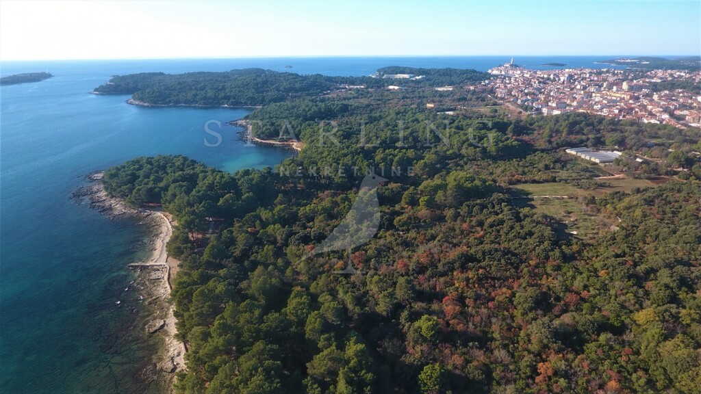 Image 4878306 - 2