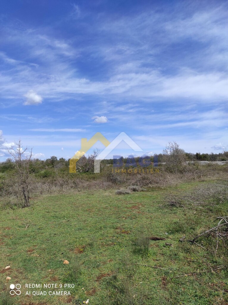 Image 4878635 - 2