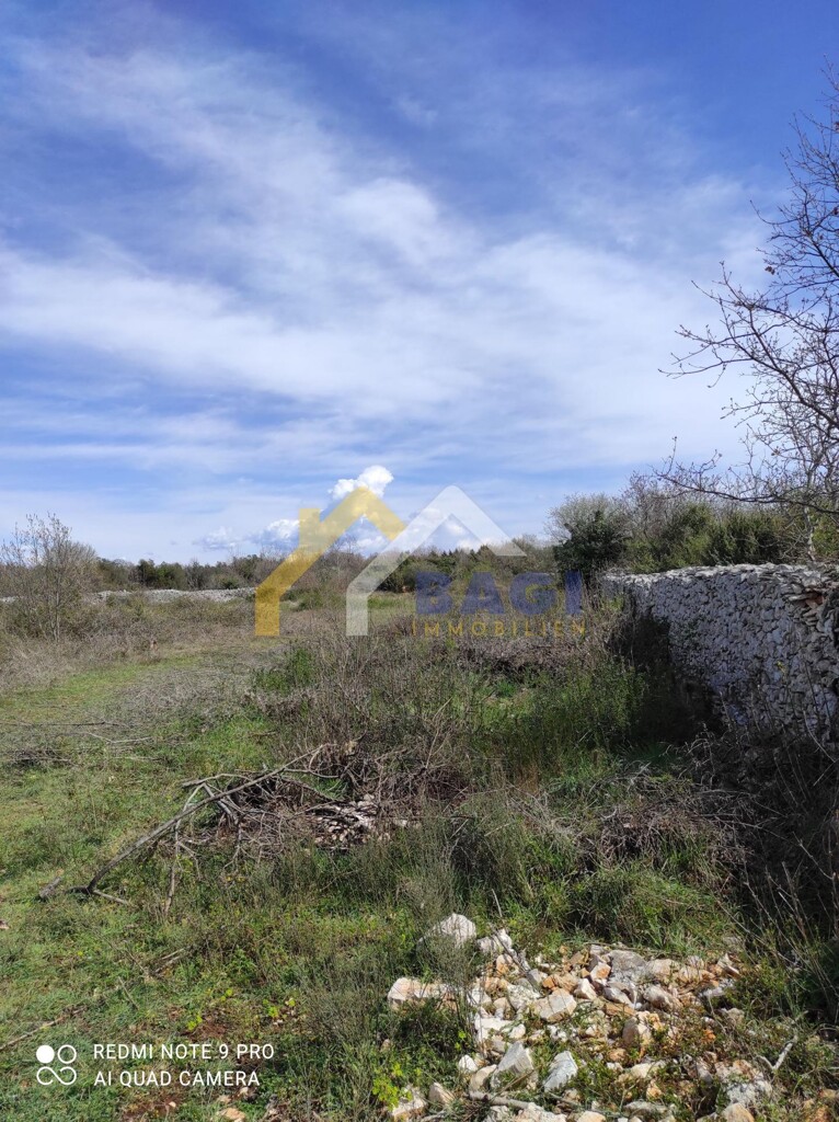 Image 4878635 - 1