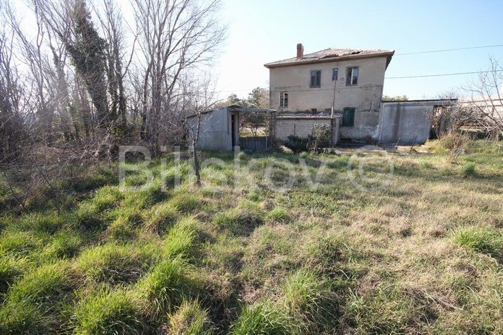Image 4879565 - 3