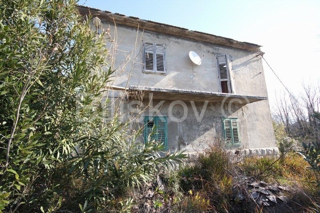 Image 4879565 - 9