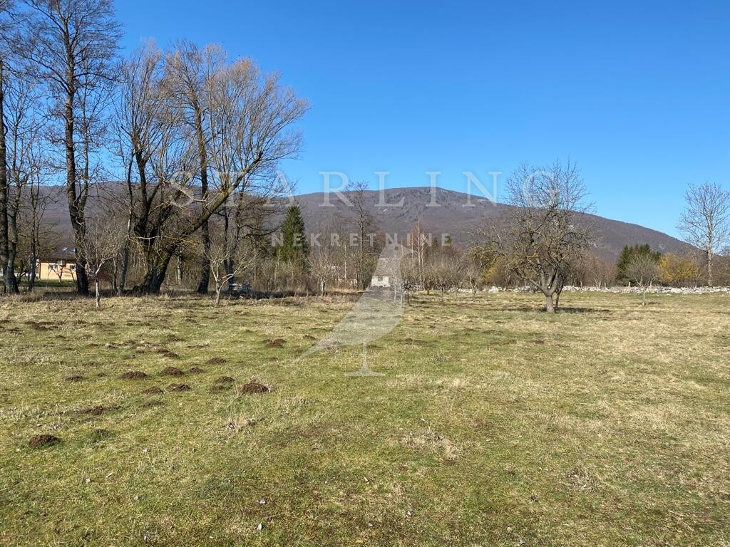 Image 4881287 - 2