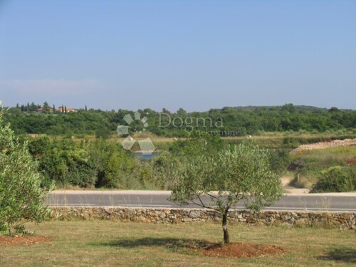 Thumbnail 4883345 - 1