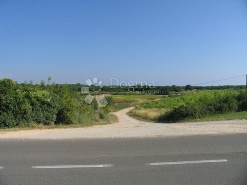 Thumbnail 4883345 - 2