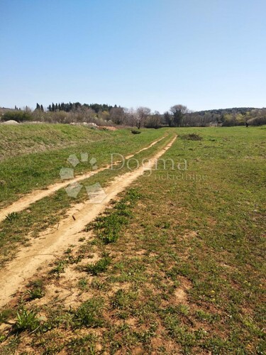 Thumbnail 4883345 - 8