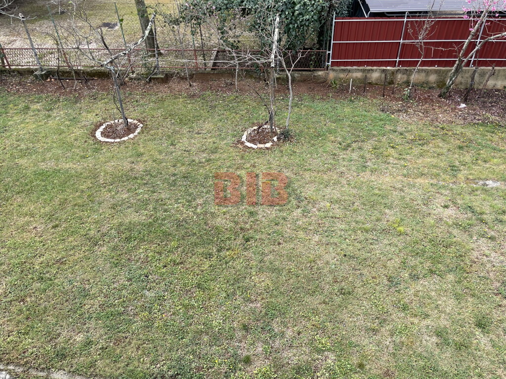 Image 4884482 - 14