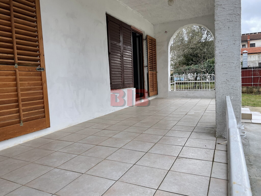 Image 4884482 - 10