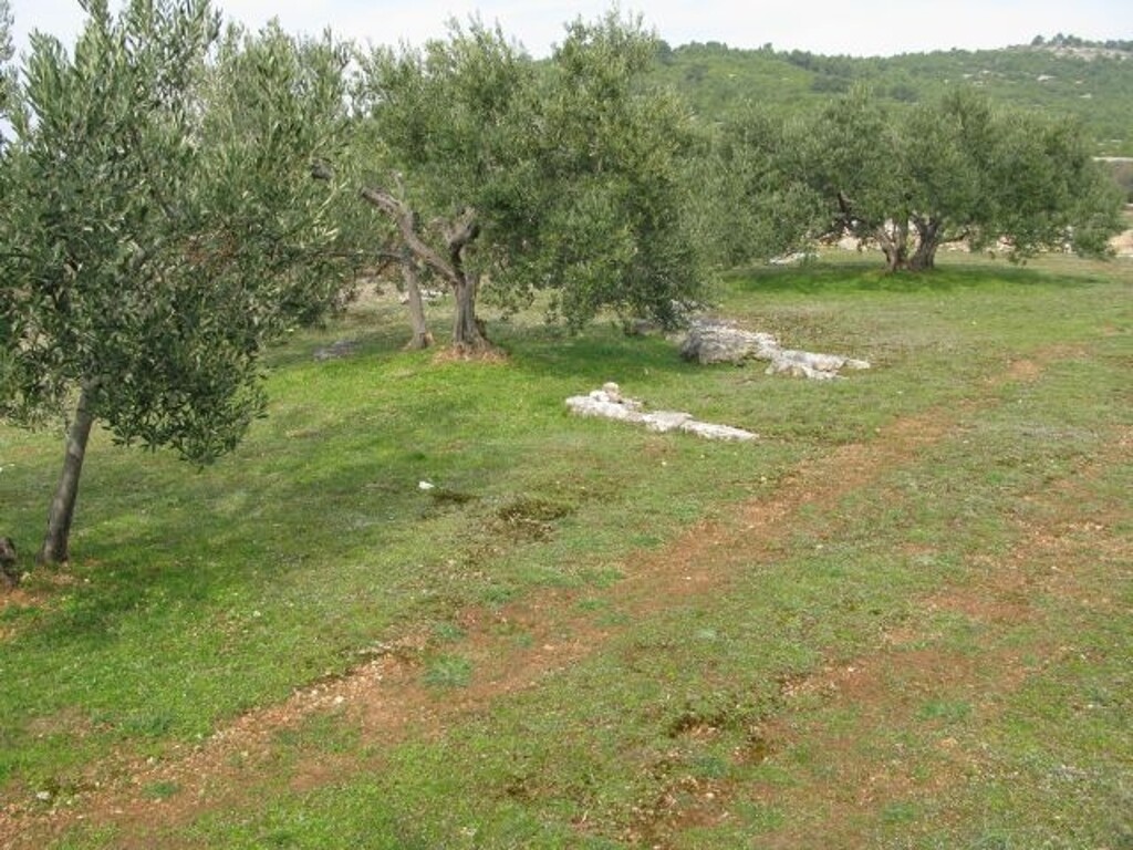 Image 4885007 - 1