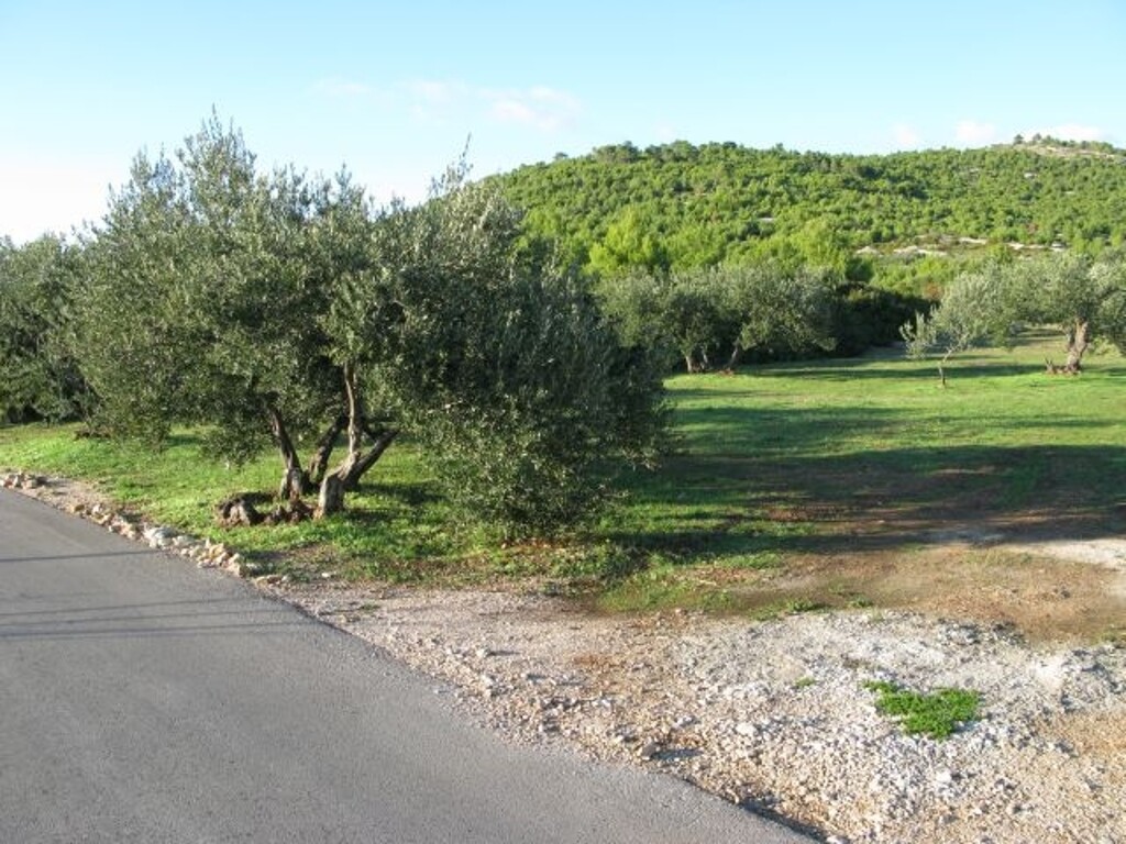 Image 4885014 - 1