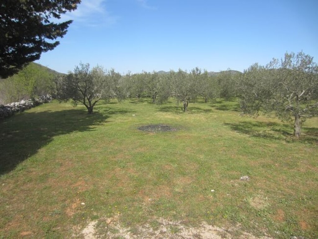 Image 4886003 - 2