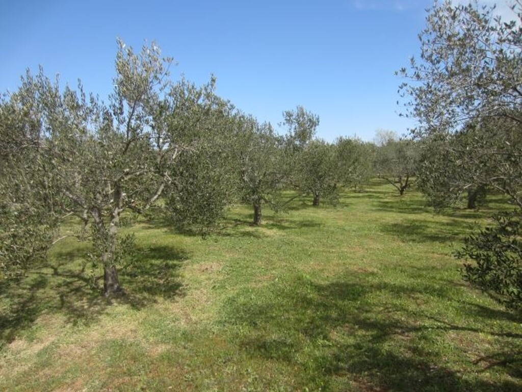 Image 4886003 - 3