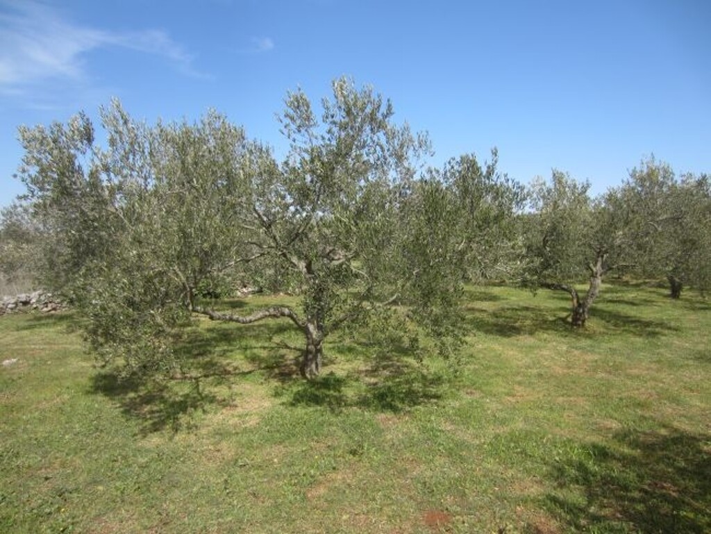 Image 4886003 - 4