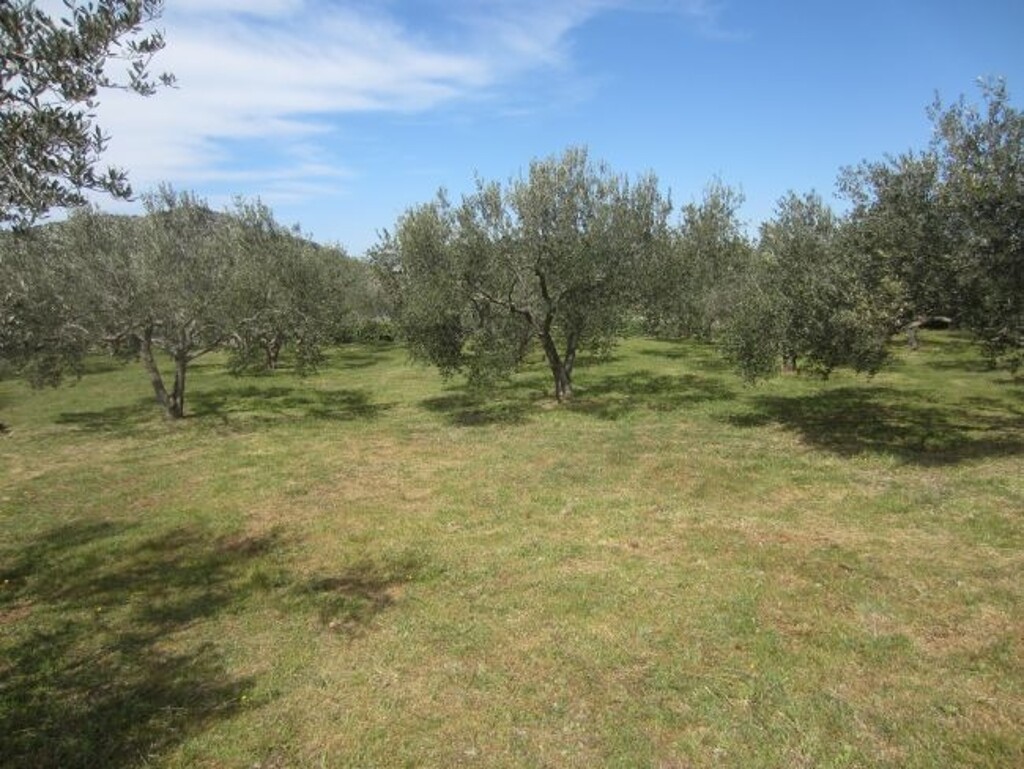 Image 4886003 - 6