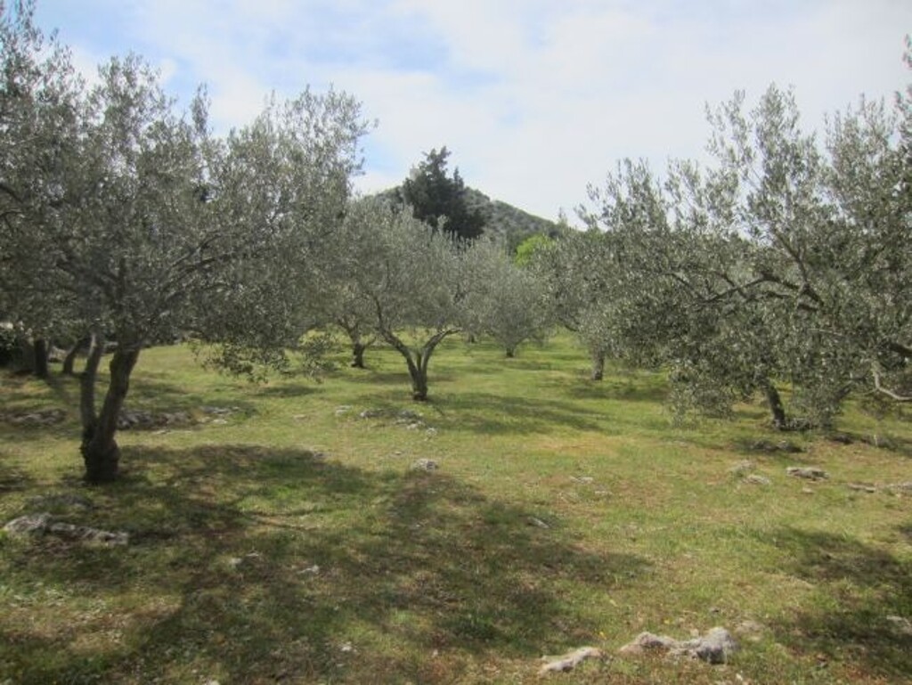Image 4886003 - 5