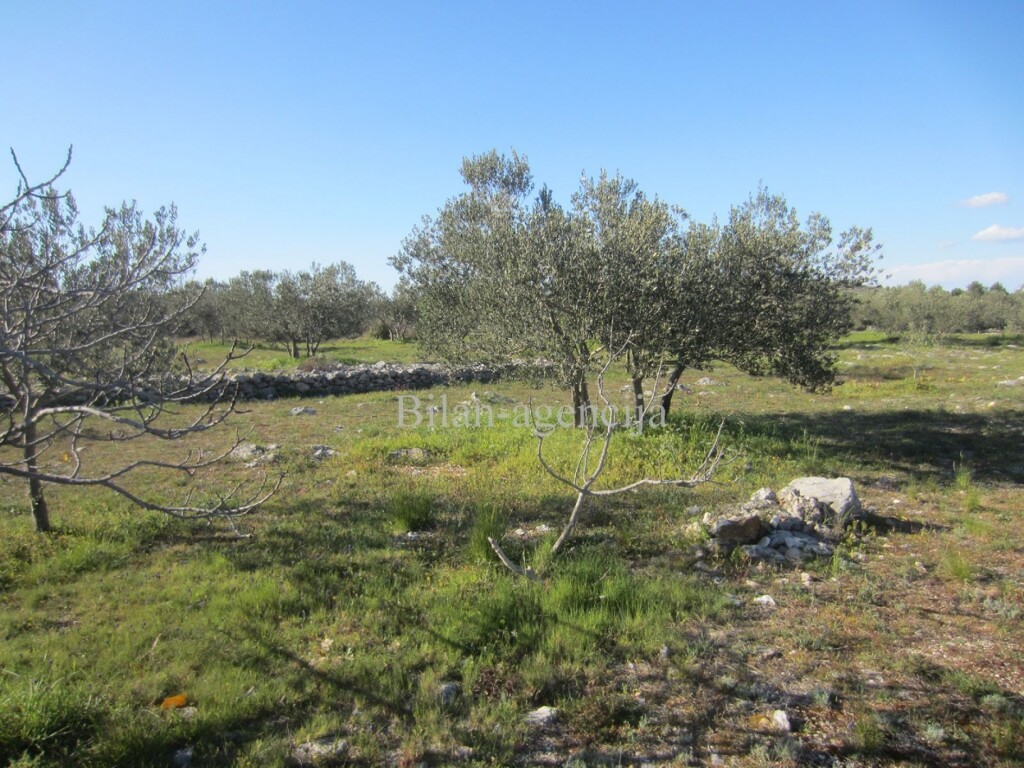 Image 4886009 - 8